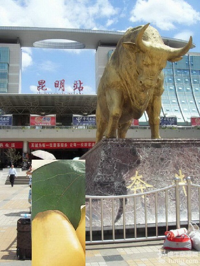 但昆明实在没什么可玩的,就有一个滇池,滇池不远有个民族园,火车站有