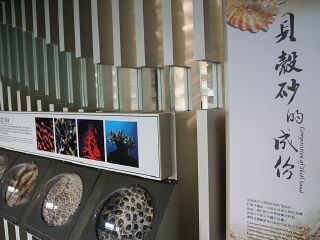 砂岛贝壳砂展示馆