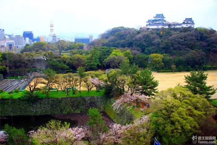 【日本】首宿和歌山