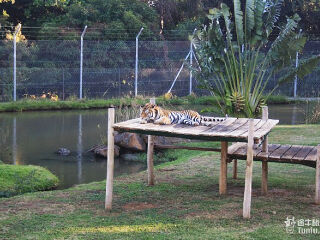 卡塞拉飞鸟公园