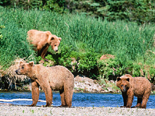 大奥特威国家公园