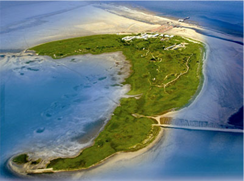 天津月坨岛几月去合适_天津月坨岛路线_天津月坨岛价格