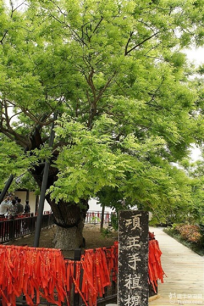 【宿迁旅游攻略】项王故里一日游【多图】_骆马湖游记_途牛