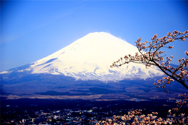 东渡扶桑 东瀛撒欢