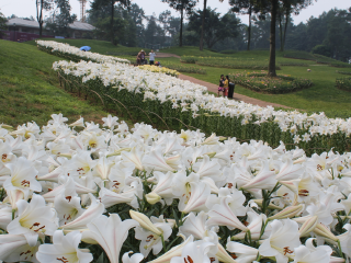 成都石象湖景区