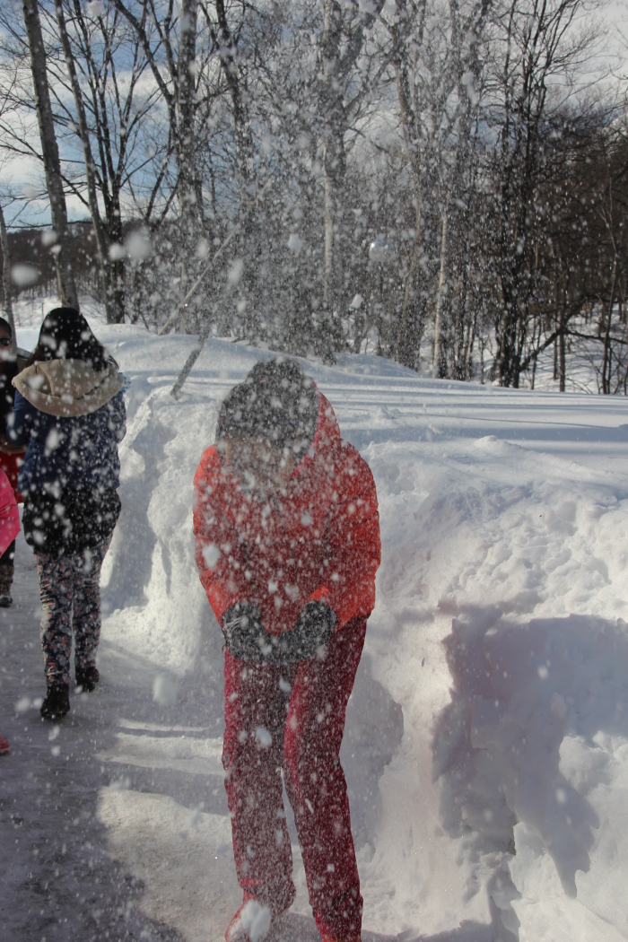 2015日本随游记(二)