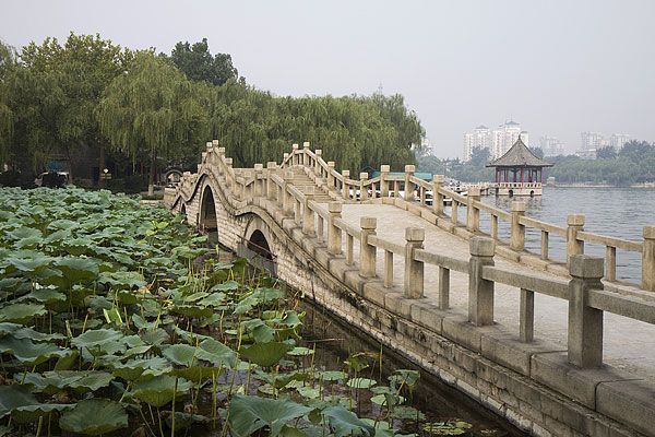 濟南大明湖荷花節攻略_濟南大明湖荷花節時間_濟南大明湖荷花節地點