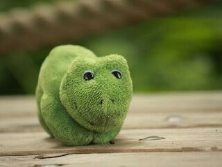 萨尔茨堡动物园