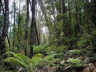 塔胡恩空中栈道