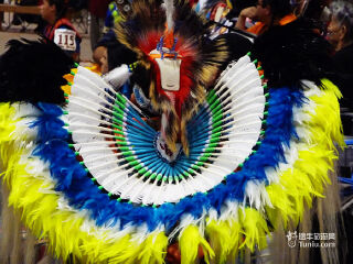 毛里求斯印度度假村