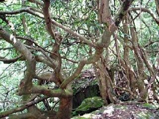 小溪自然保护区