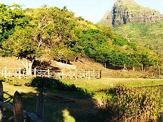 卡塞拉飞鸟公园