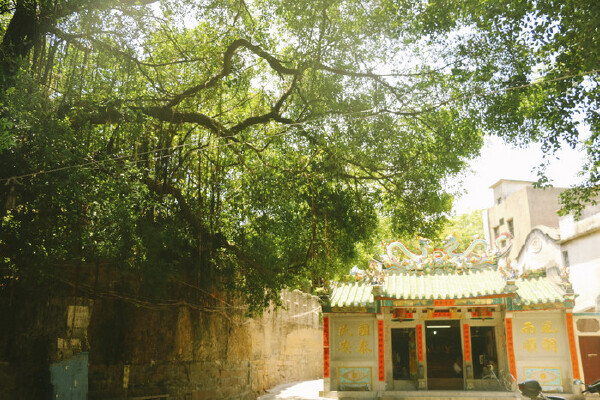 婹ų