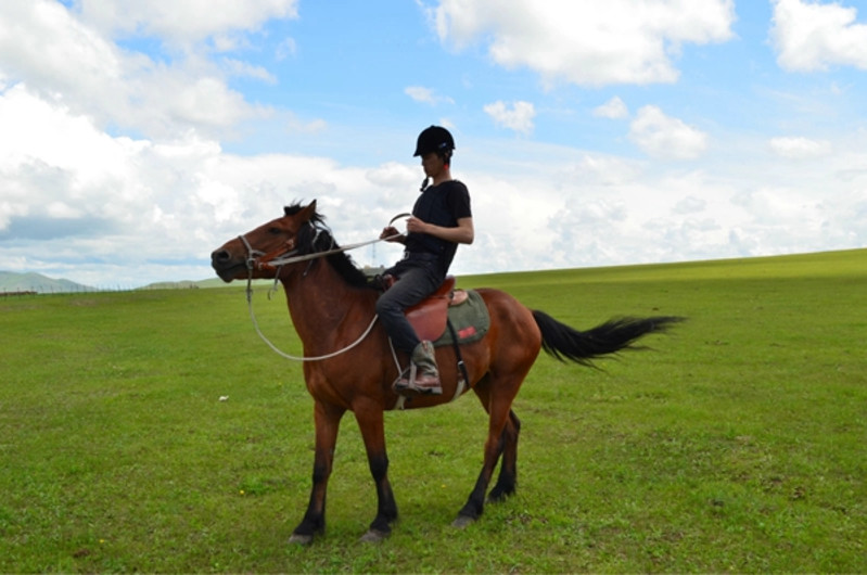 上,讓人牽著馬溜達幾圈就結束,肯定不能體驗在呼倫貝爾草原騎馬的樂趣