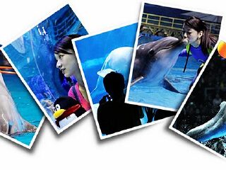 武汉海昌极地海洋公园