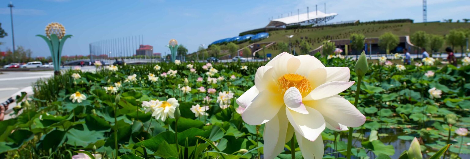 亞沙水生植物園旅遊攻略