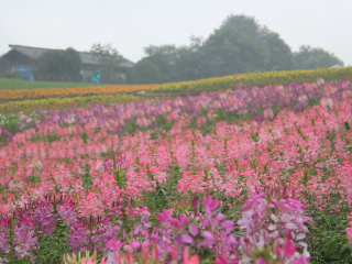 成都石象湖景区