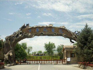 嘉峪关中华孔雀苑景区