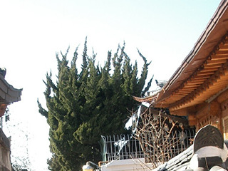 韩国首尔北村韩屋雪敬宫廷服饰文化馆