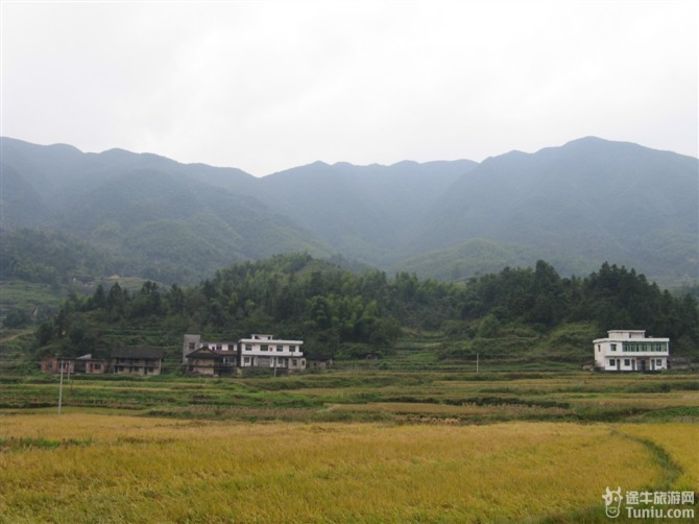 荆山村人口_荆山村英才学校(2)