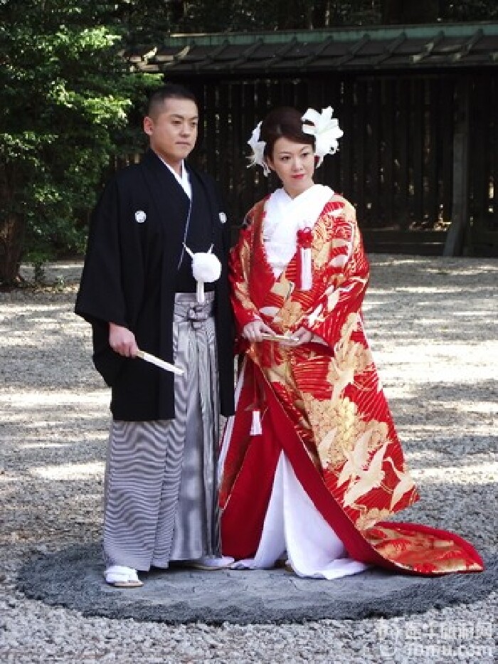 婚纱为祭_献上自己为祭(2)