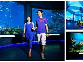 武汉海昌极地海洋公园