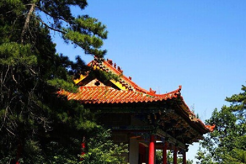 太安森林公园_太安森林公园有什么好玩的_太安森林公园景点介绍