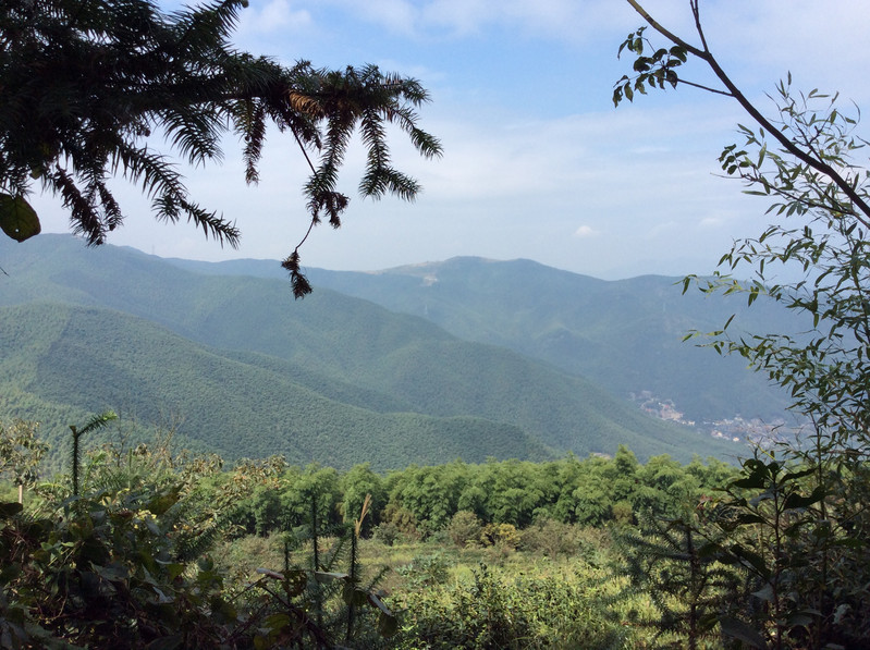 莫干山是還沒有被開發的旅遊景區,保存了遠古的面貌.