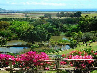 卡塞拉飞鸟公园