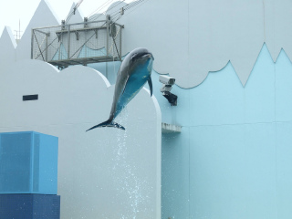神户市立须磨海滨水族园