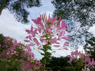 成都石象湖景区