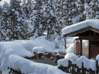 长白山仙人桥林疗温泉