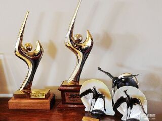 东经131°沙漠帐篷酒店