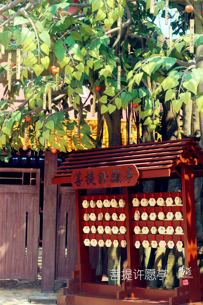 菩提许愿亭.