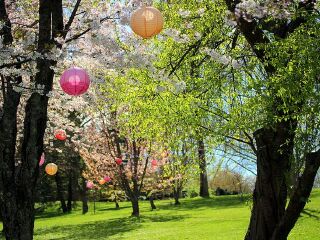 乌普萨拉植物园