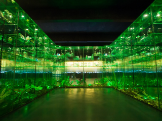 嘉兴虫草博物馆