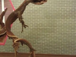 南海一号博物馆