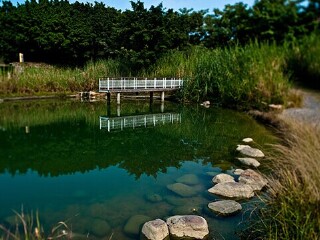 深圳海上田园风光