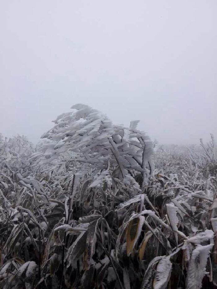 万源总人口_万源八台山风景区图片(2)