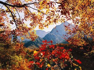 蒙山国家森林公园