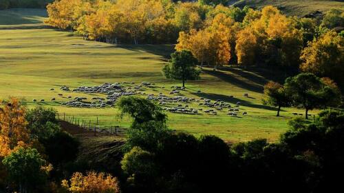 [国庆] 木兰围场-乌兰布统-桦木沟蛤蟆坝汽车3日游>指定团期4人狂减