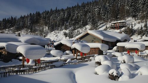  哈爾濱-亞布力-雪鄉-東昇徒步穿越5日遊>勇敢穿越(當地遊)