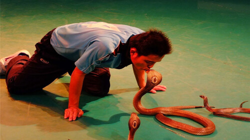 宫殿,是目前全世界最大的柚木建筑,同时也是泰国最具代表性的建筑之一