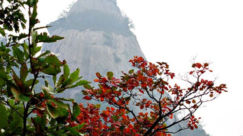 行程描述 早6:30乘車赴汝陽西泰山,車上欣賞沿途風景