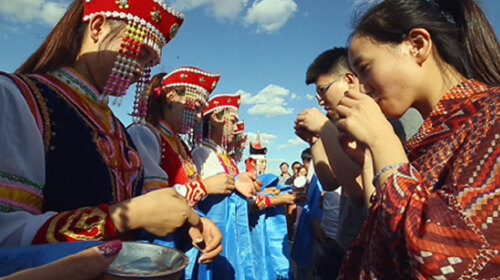 下马酒(图片仅供参考)