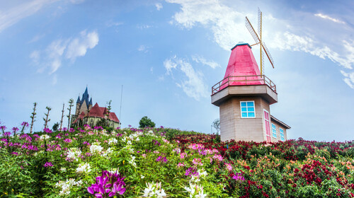  惠州龙门尚天然温泉鲁冰花童话园自助1日游>