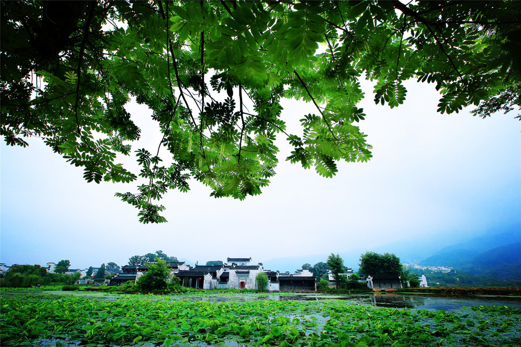 親子研學·黃山豐樂湖德懋堂1晚·含早餐·含呈坎景區門票2張(贈遊船