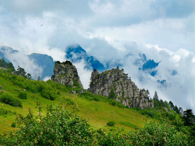  神农架2日游>洗肺之旅,自由呼吸,四星住宿
