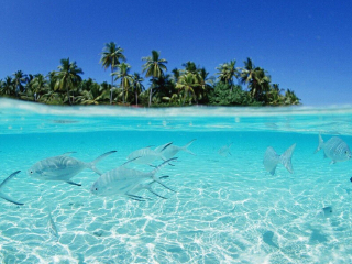 心有猛虎 细嗅蔷薇——金秋10月背包穷游走印度21天 一个星期的沉香屑