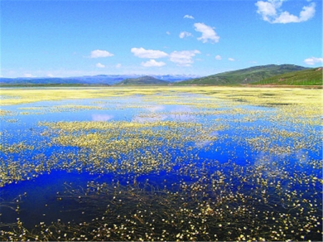  拉卜楞-桑科草原-郎木寺-扎尕那-花湖-黄河九曲第一湾4日游>七彩甘南
